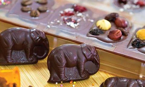 Pod Chocolate Factory - Chocolate Making Tour Indonesia