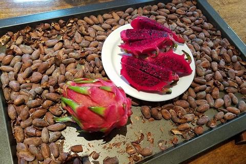 Pod Chocolate Factory - Chocolate Making Tour Indonesia