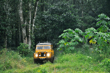 Safari to Caldera Volcano Batur photo 2
