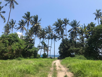 Balinese Society Snapshot