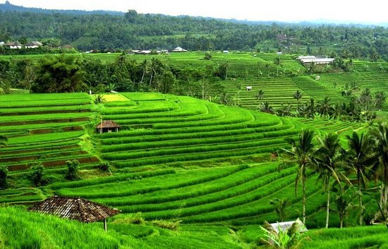  Bali Midlands Tour photo