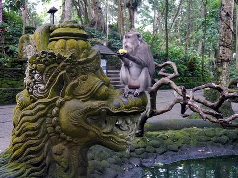 The Sacred Monkey Forest Sanctuary