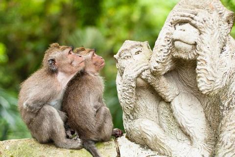 The Sacred Monkey Forest Sanctuary