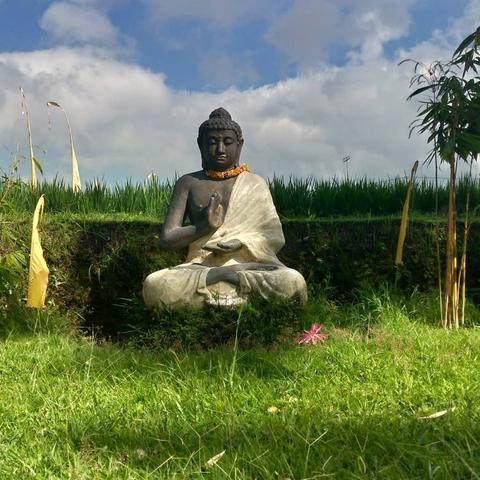 Ubud Nature Walk: Rice Field Trekking Indonesia