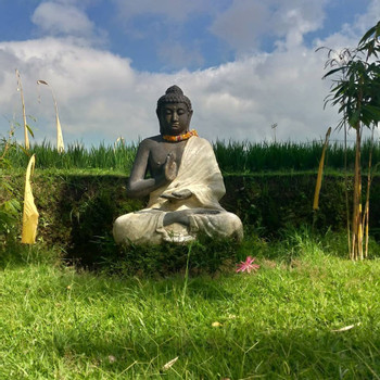 Ubud Nature Walk: Rice Field Trekking