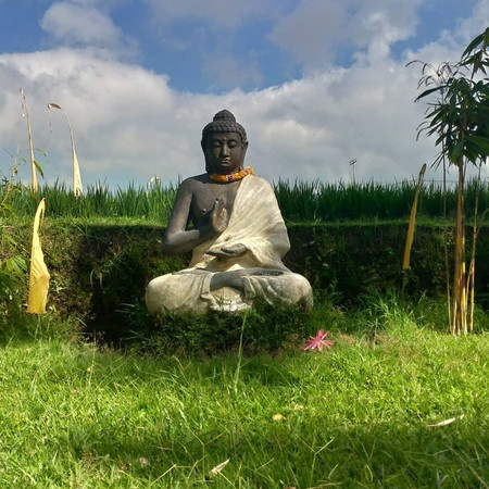 Ubud Nature Walk: Rice Field Trekking