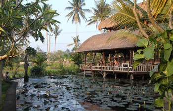 Relaxing Spa in Ubud  photo 4