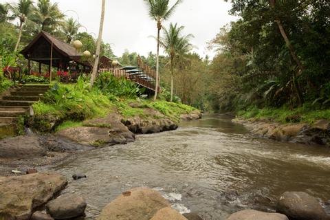 Romantic Dinner in Ubud Indonesia