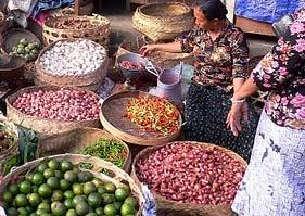 The Secrets of Balinese Organic Cooking - Afternoon Course Indonesia