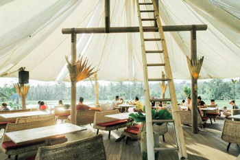 Pyramids of Chi Mystic & Sound Healing photo 4