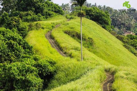 Exclusive Tjampuhan Ridge Walk with Royal Tea Indonesia