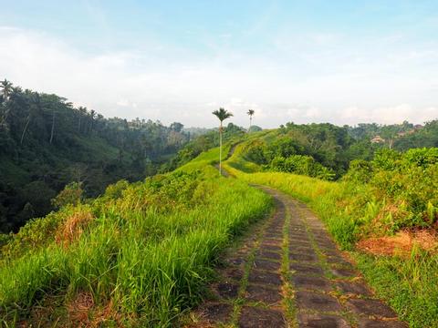 Exclusive Tjampuhan Ridge Walk with Royal Tea Indonesia