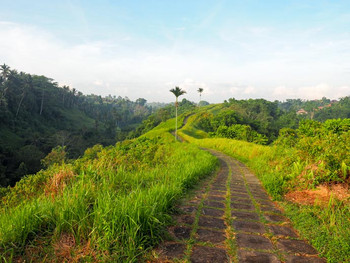 Exclusive Tjampuhan Ridge Walk with Royal Tea photo 3