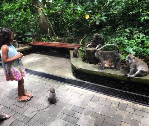 Fascinating Ubud Indonesia