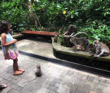 Fascinating Ubud photo 3