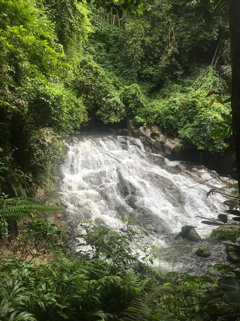 Waterfalls Rice Fields Swing Indonesia