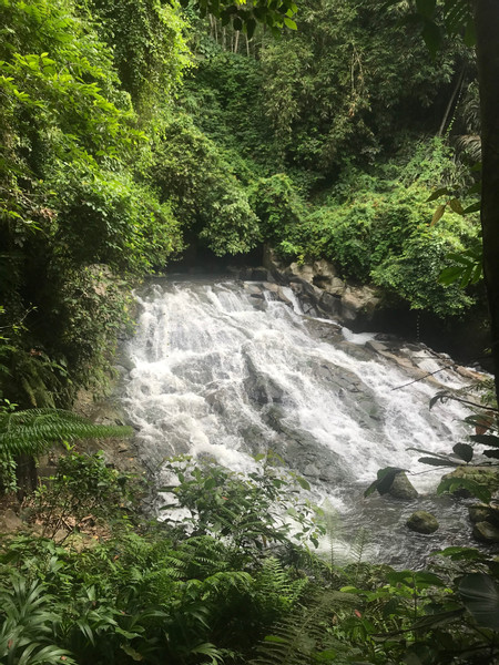 Waterfalls Rice Fields Swing photo 2