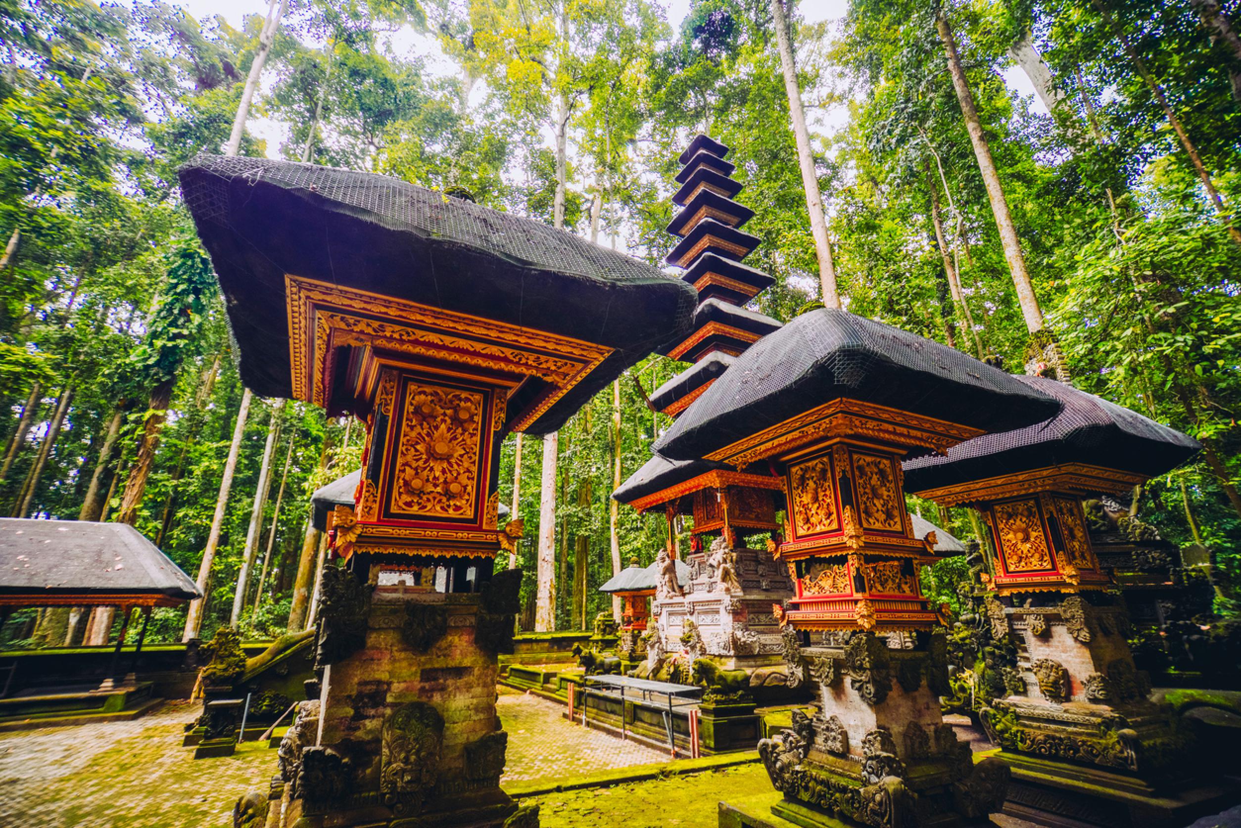 Ubud Travel Guide 2019