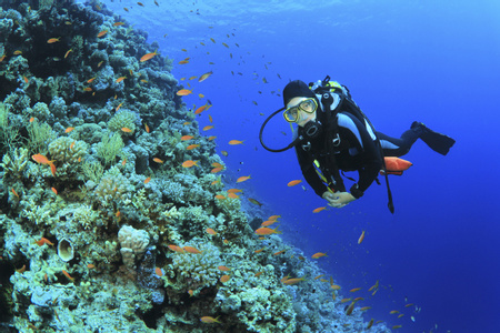 Scuba Diving in Indonesia
