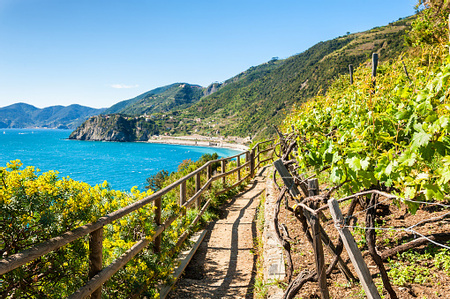 Cinque Terre National Park