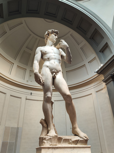 David