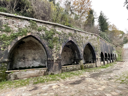 Fonti Medievali