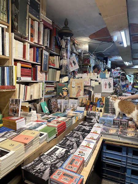 Libreria Acqua Alta