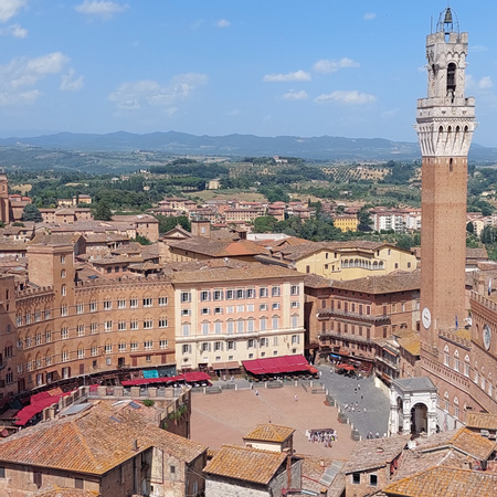 Piazza del Campo