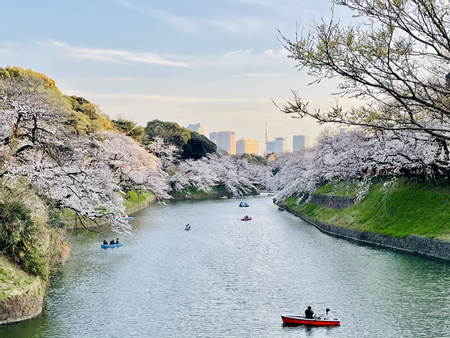 Chidorigafuchi Park