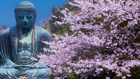 Kotoku-in