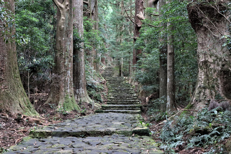 Kumano Kodo - Nakahechi Daimon-saka Pilgrim Route