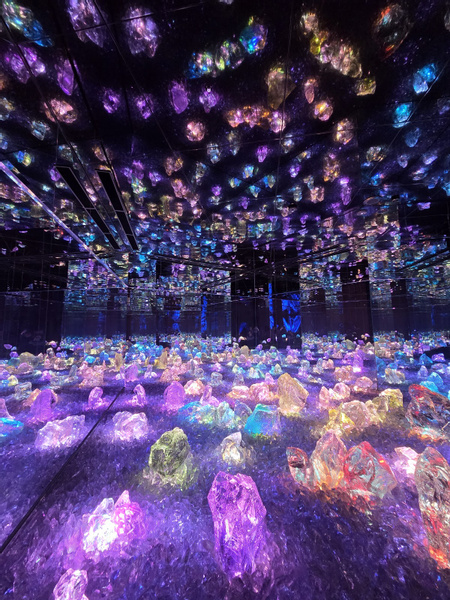 teamLab Biovortex Kyoto
