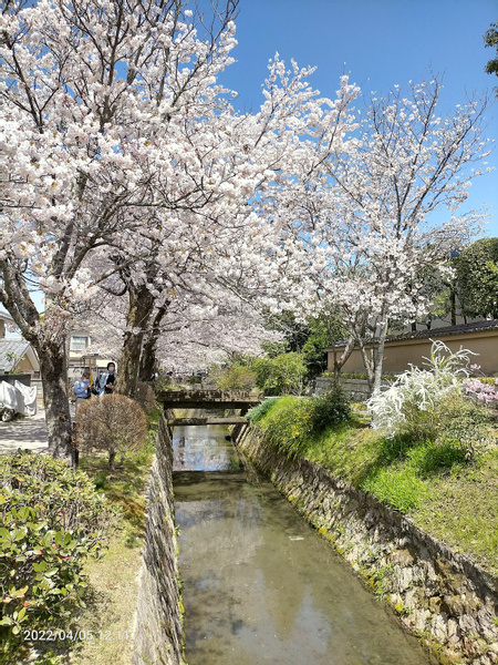 Tetsugaku No Michi