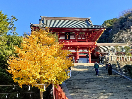 Tsurugaoka Hachimangu