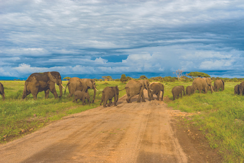 Amboseli National Park