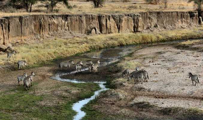 Best of Both: Active Safari Adventure in Uganda and Tanzania, Uganda