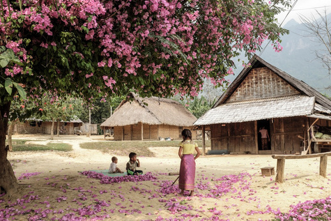 Classic Laos