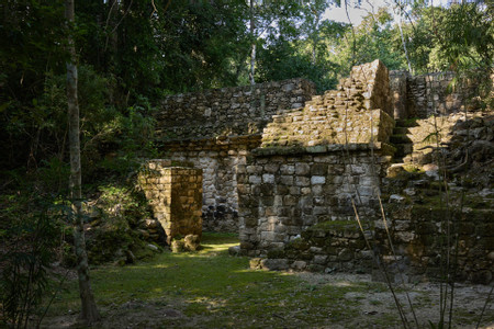 Explore the Hidden Majesty of Calakmul photo 2
