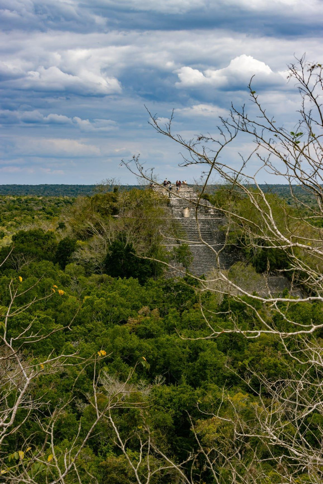 Explore the Hidden Majesty of Calakmul photo