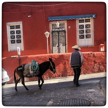 Guanajuato Beyond the Center: Streets, Plazas, and Hidden Corners photo 4