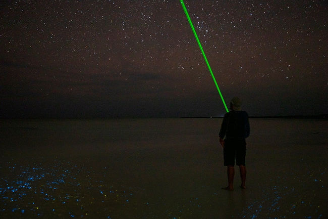 Kayak Under the Stars: Bioluminescence Adventure Photo