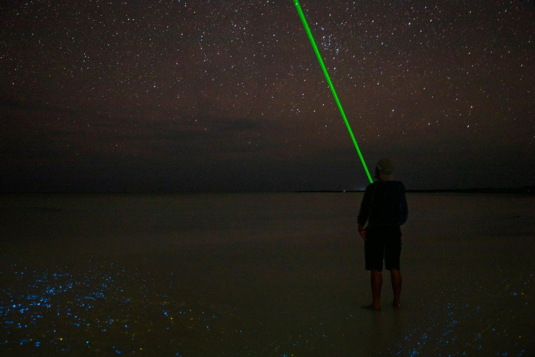 Kayak Under the Stars: Bioluminescence Adventure photo