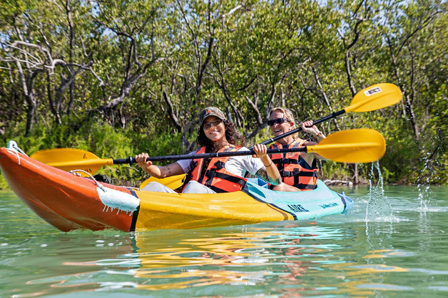 Mangrove Kayak Tour photo