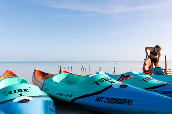 Mangrove Kayak Tour photo 4
