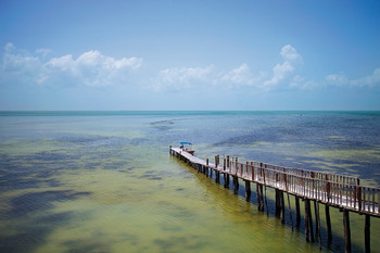 Three Islands Discovery Tour photo 2