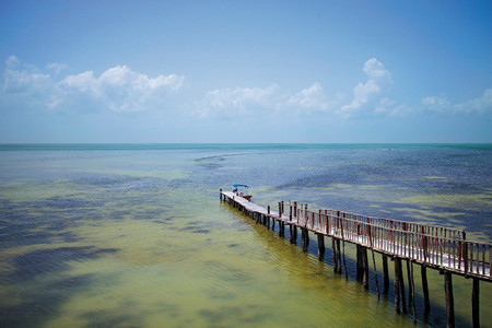 Three Islands Discovery Tour photo 2