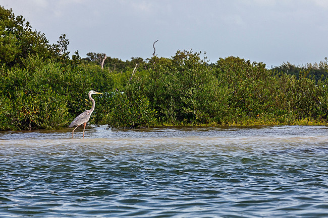 Three Islands Discovery Tour photo
