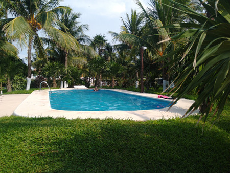 Puerto Holbox photo 3