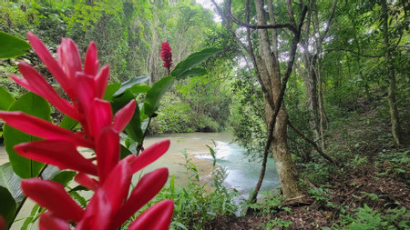 San Miguel Waterfalls & Community Experience photo 2