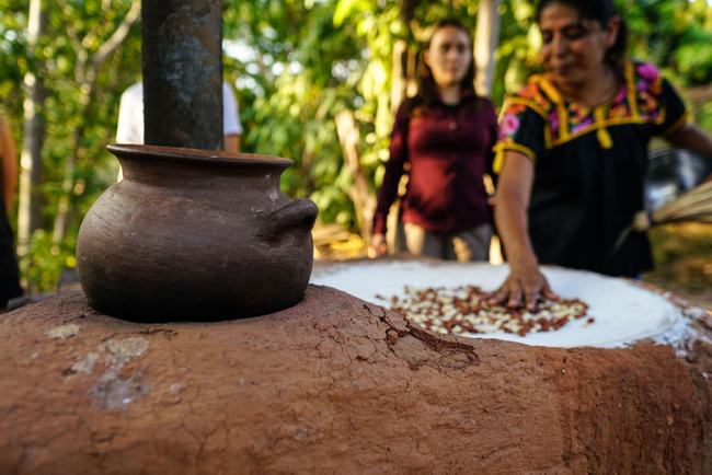The Magic of Cacao Photo